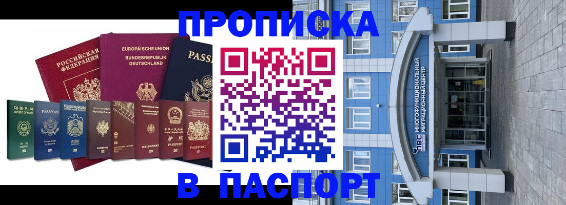 прописка штамп в Электрогорске